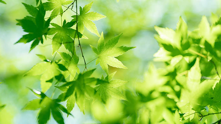 南平延平区房价到底值不值这个价？